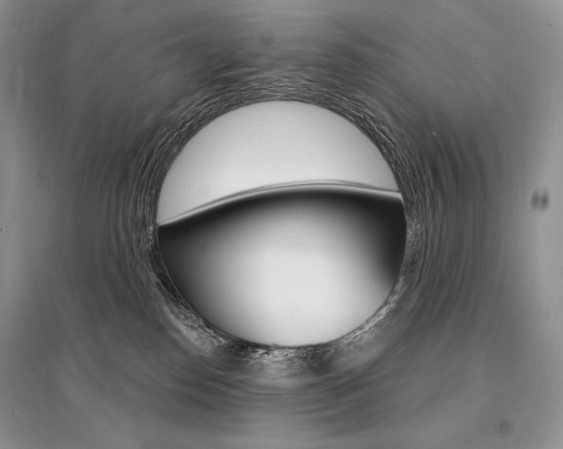 X0000096390186200801241125