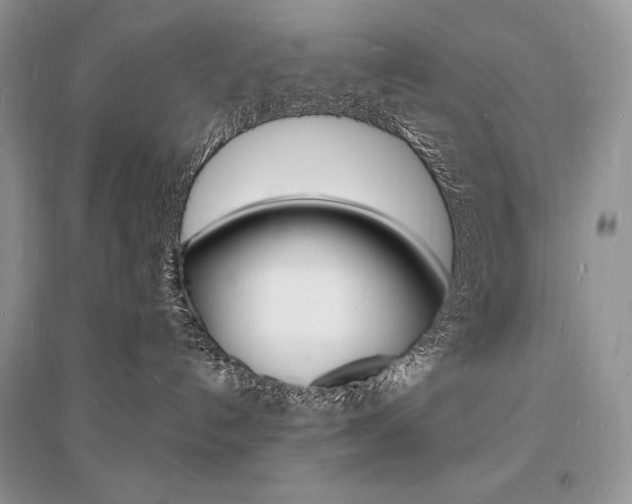 X0000096390192200801241125
