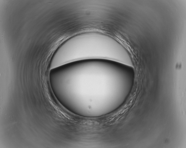 X0000096390193200801241124