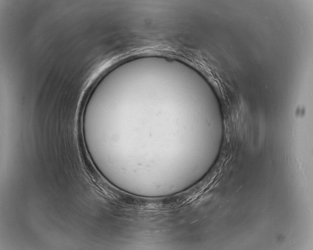 X0000096390196200801241124