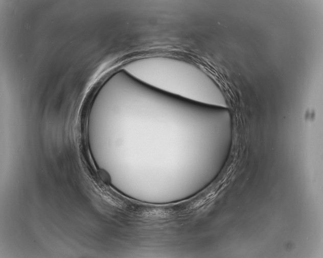 X0000096390198200801241124