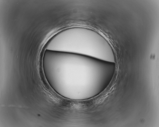 X0000096390199200801241124