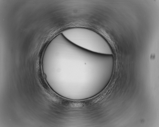 X0000096390202200801241124