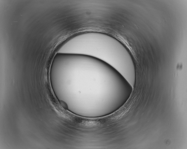 X0000096390205200801241124