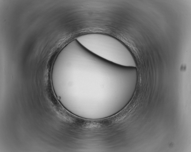 X0000096390206200801241124