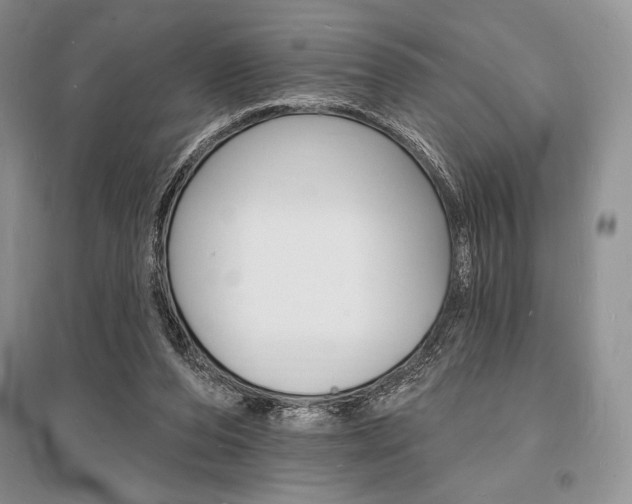 X0000096390208200801241124