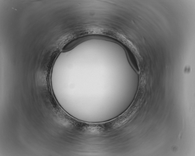X0000096390209200801241124