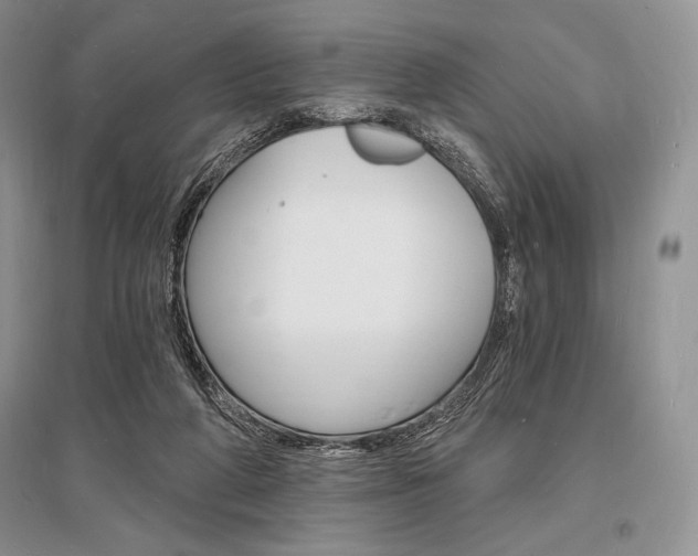 X0000096390210200801241124