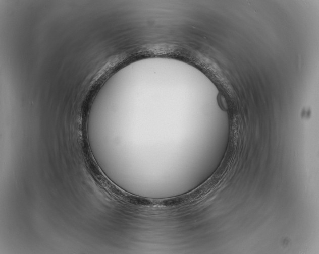 X0000096390212200801241124