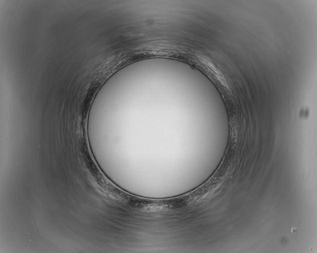 X0000096390213200801241124