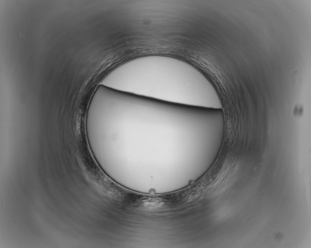 X0000096390214200801241124
