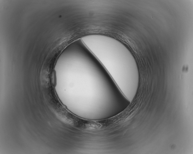 X0000096390215200801241124