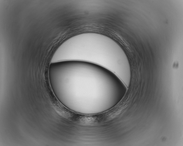 X0000096390217200801241124