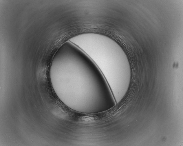 X0000096390219200801241124