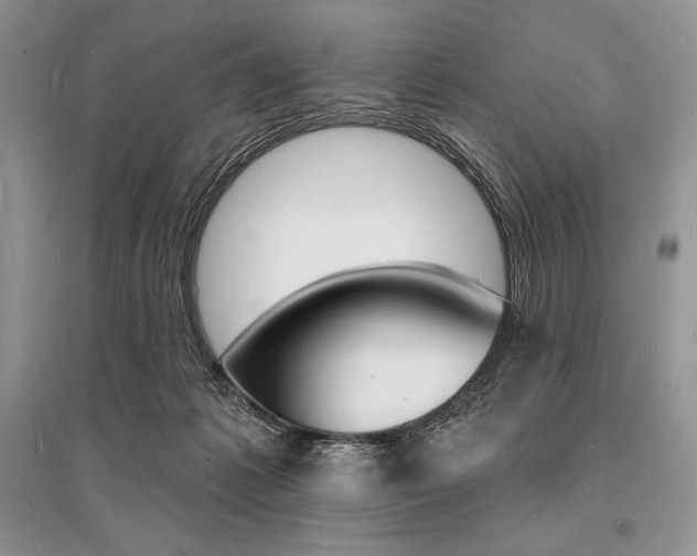 X0000096390221200801241124