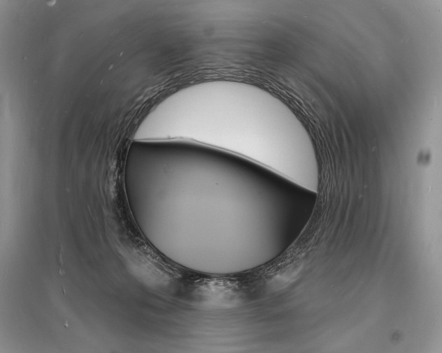 X0000096390223200801241124