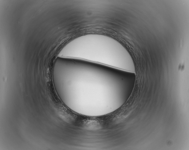 X0000096390224200801241124