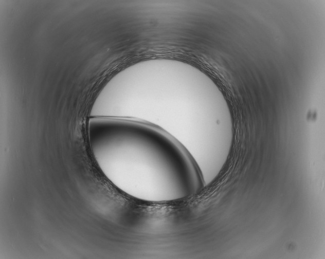 X0000096390225200801241124