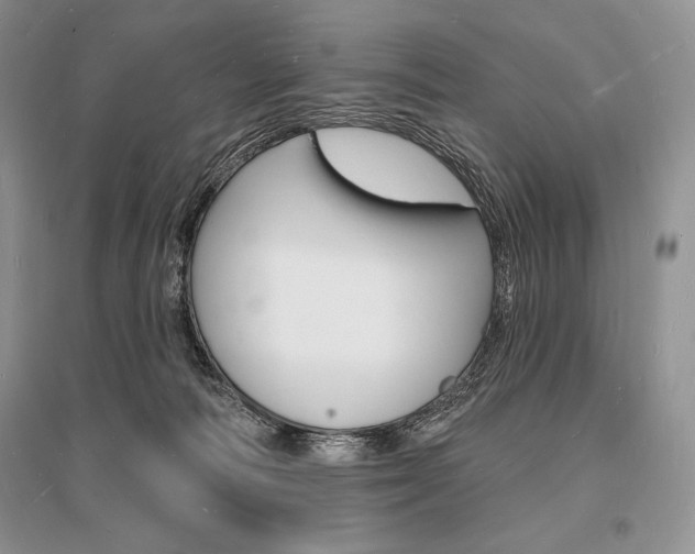 X0000096390226200801241124