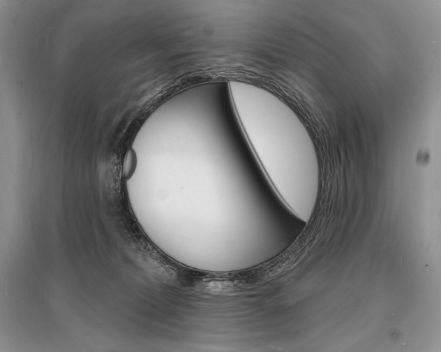 X0000096390228200801241124