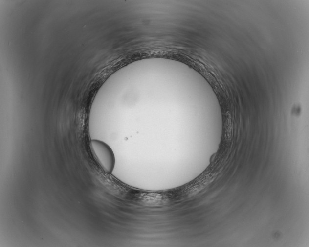 X0000096390230200801241124