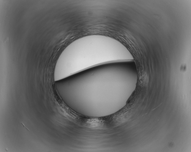X0000096390231200801241124