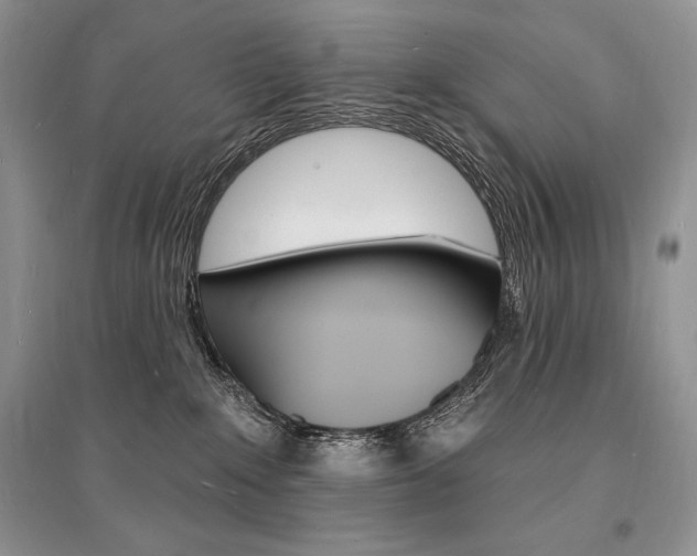 X0000096390235200801241124