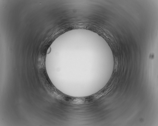 X0000096390236200801241124