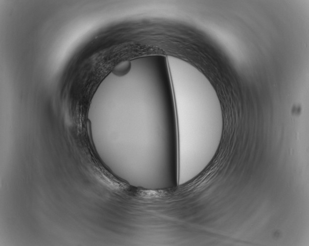 X0000096390239200801241124