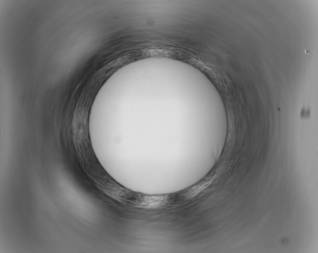 X0000096390240200801241124