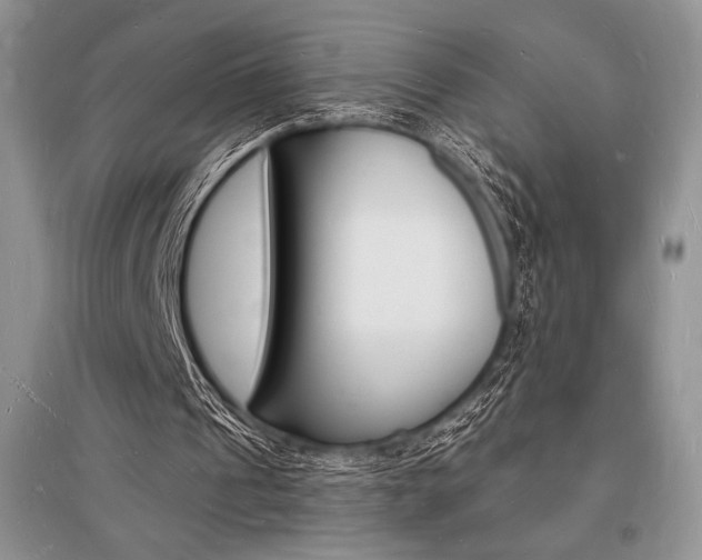 X0000096390241200801241123