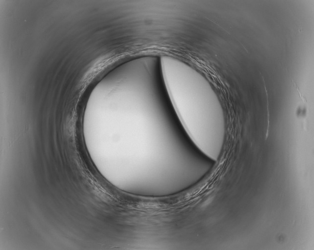 X0000096390242200801241123