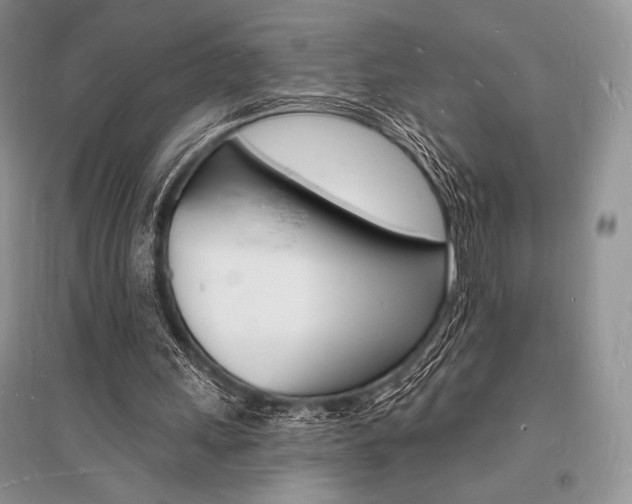 X0000096390243200801241123