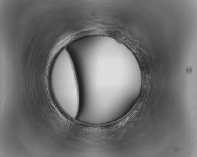 X0000096390245200801241123