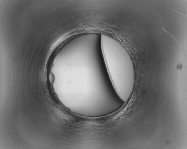 X0000096390246200801241123
