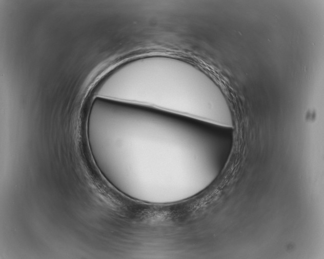 X0000096390247200801241123
