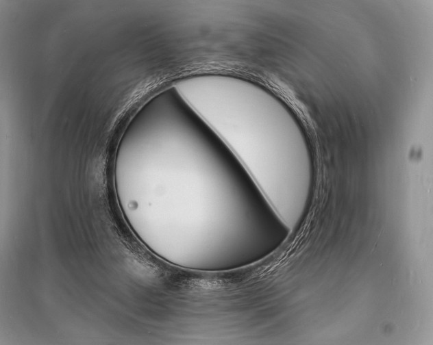 X0000096390250200801241123