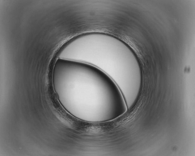 X0000096390252200801241123