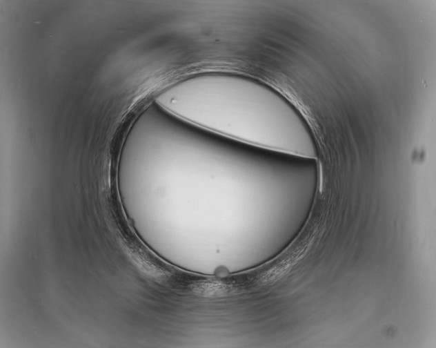 X0000096390253200801241123