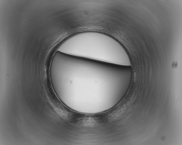 X0000096390254200801241123