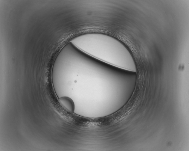 X0000096390255200801241123