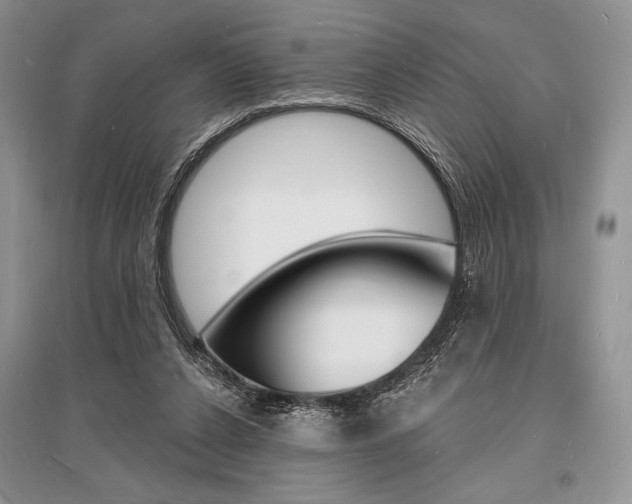 X0000096390256200801241123
