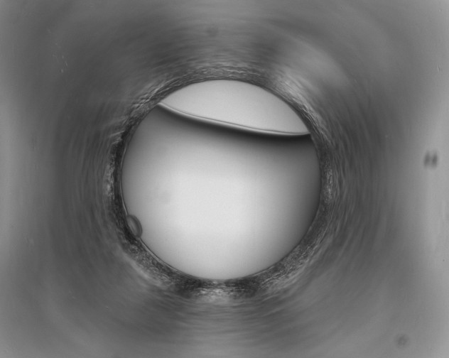 X0000096390259200801241123