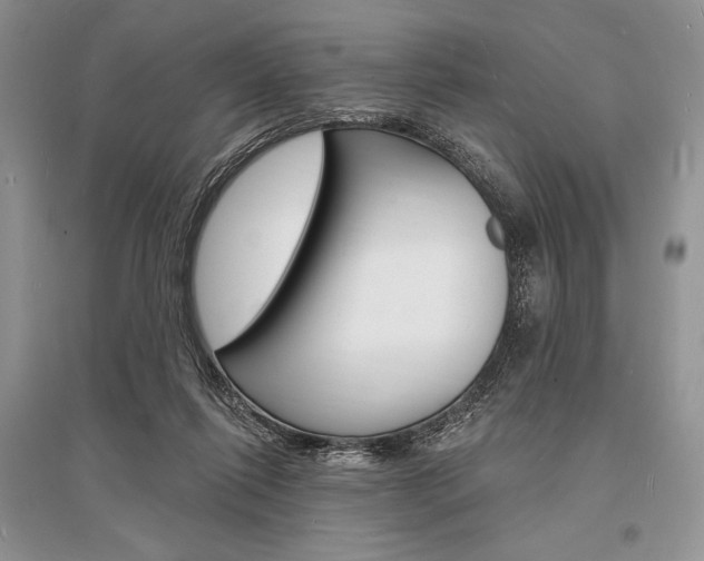 X0000096390262200801241123