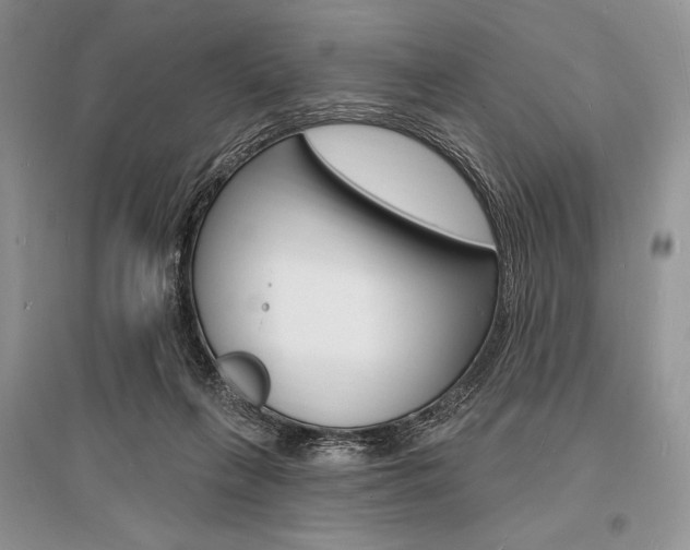 X0000096390263200801241123
