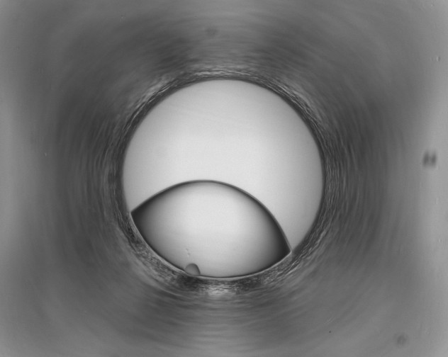 X0000096390264200801241123
