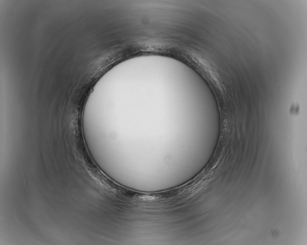 X0000096390265200801241123