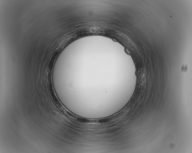 X0000096390266200801241123