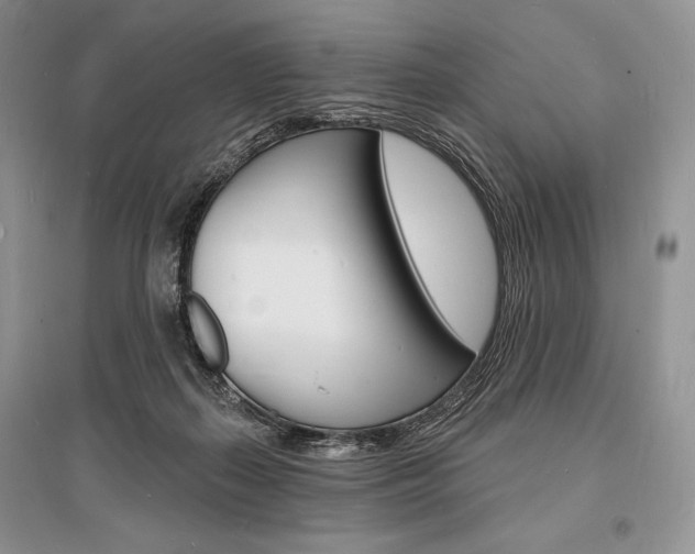 X0000096390267200801241123