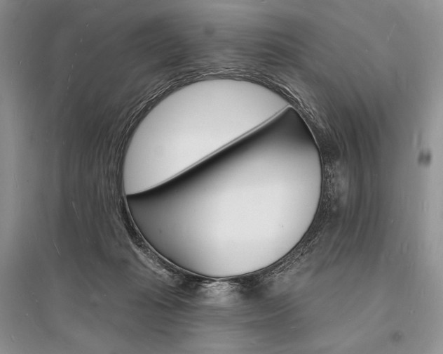X0000096390269200801241123